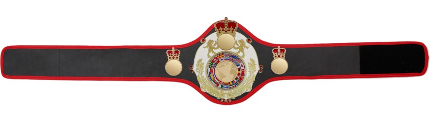 QUEENSBURY PRO LEATHER WORLD FLAGS CHAMPIONSHIP BELT -QUEEN/W/G/FLAG - AVAILABLE IN 10+ COLOURS